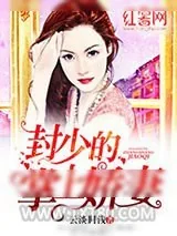 《封少的掌上娇妻》小说封面