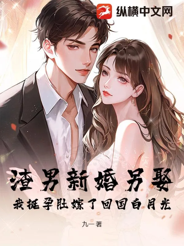 《渣男新婚另娶，我挺孕肚嫁了回国白月光》小说封面