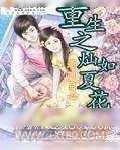 《重生之灿如夏花》小说封面