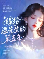 《嫁给温先生第五年》小说封面