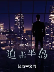 《追击半岛》小说封面