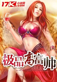 《极品高富帅》小说封面