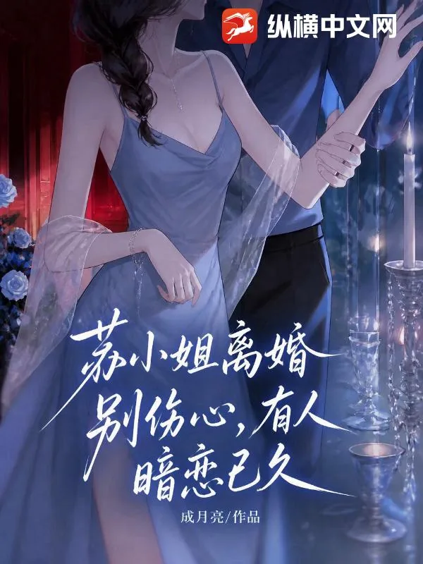 《苏小姐离婚别伤心，有人暗恋已久》小说封面
