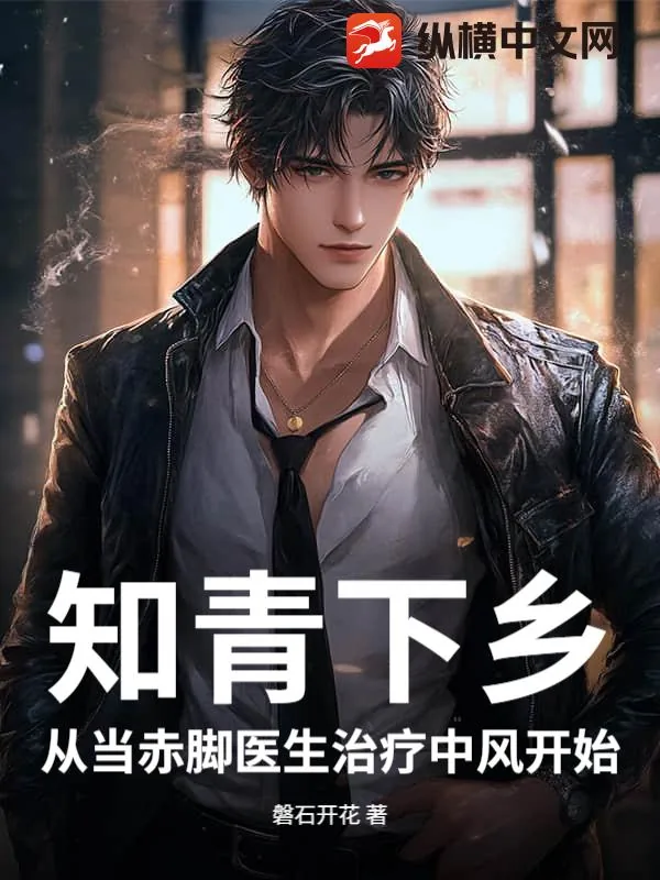 《知青下乡：从当赤脚医生治疗中风开始》小说封面