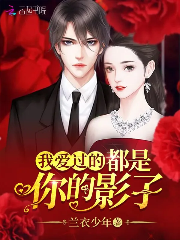 《我爱过的都是你的影子》小说封面
