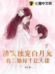 《渣夫独宠白月光，我二婚嫁千亿大佬》小说封面