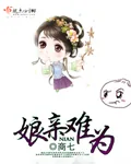 《娘亲难为》小说封面