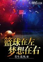 《篮球在左，梦想在右》小说封面