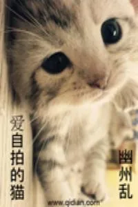 《爱自拍的猫》小说封面