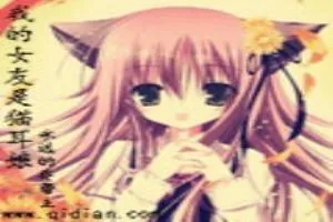 《我的女友是猫耳娘》小说封面
