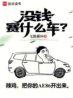 《没钱赛什么车？》小说封面