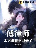 《傅律师,太太说她不回头了》小说封面