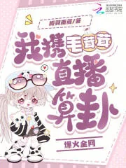 《我携毛茸茸直播算卦爆火全网》小说封面