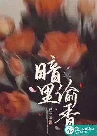《暗里偷香》小说封面