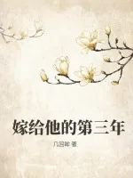 《嫁给他的第三年》小说封面
