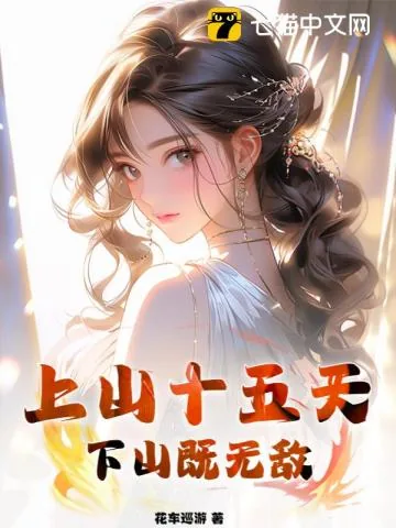 《上山十五天，下山既无敌》小说封面
