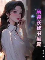《从县长秘书崛起》小说封面