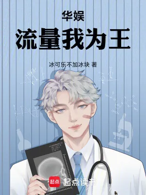 《华娱：流量我为王》小说封面