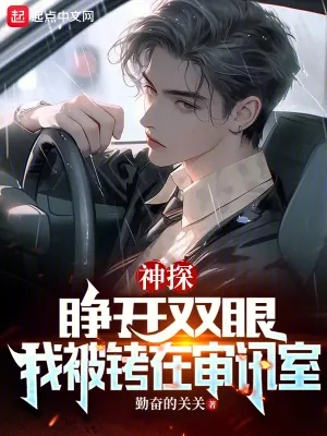 《神探：睁开双眼，我被铐在审讯室》小说封面