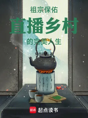 《祖宗保佑:直播乡村的完美人生》小说封面