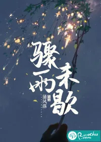 《骤雨未歇》小说封面