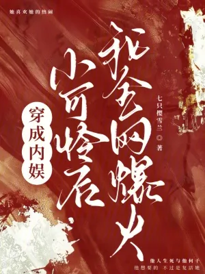 《穿成内娱小可怜后,我全网爆火》小说封面