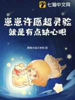 《崽崽许愿超灵验，就是有点缺心眼》小说封面