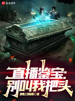《直播鉴宝：别叫我把头》小说封面