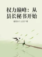 《权力巅峰：从县长秘书开始》小说封面