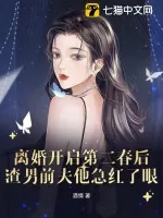 《离婚开启第二春后,渣男前夫他急红了眼》小说封面
