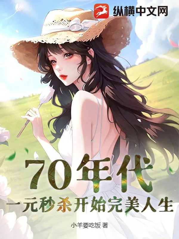 《70年代：一元秒杀开始完美人生》小说封面