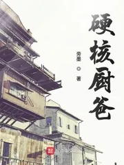 《硬核厨爸》小说封面