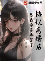 《协议离婚后：总裁妻子悔哭了》小说封面