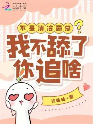 《不是清冷霸总？我不舔了你追啥》小说封面