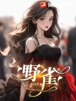 《野雀》小说封面