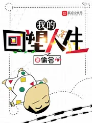 《我的回塑人生》小说封面