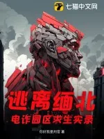 《逃离缅北：电诈园区求生实录》小说封面