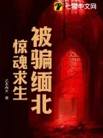 《被骗缅北，惊魂求生》小说封面