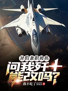 《暑假兼职被抓，问我歼十能改吗？》小说封面