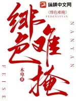 《绯色难掩》小说封面