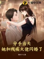 《分手当天，她和残疾大佬闪婚了》小说封面