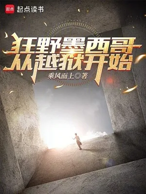 《狂野墨西哥，从越狱开始》小说封面