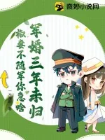 《军婚三年未归，椒妻不随军你急啥》小说封面