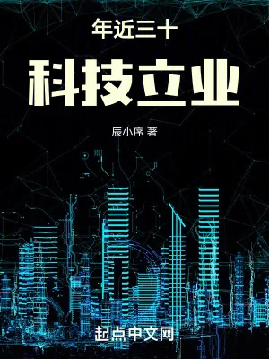 《年近三十，科技立业》小说封面