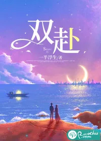 《双赴》小说封面