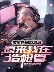 《被境外网友忽悠，原来我在造枪管》小说封面