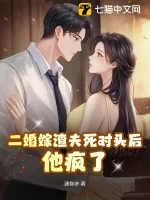 《二婚嫁渣夫死对头后，他疯了》小说封面