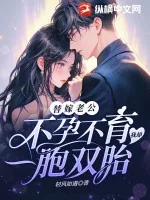 《替嫁老公不孕不育，我却一胞双胎！》小说封面