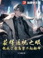 《获得透视之眼，我成了你高攀不起的神》小说封面