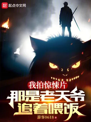 《我拍惊悚片，那是老天爷追着喂饭》小说封面